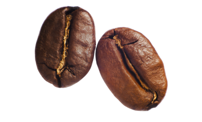 cofee seed 2